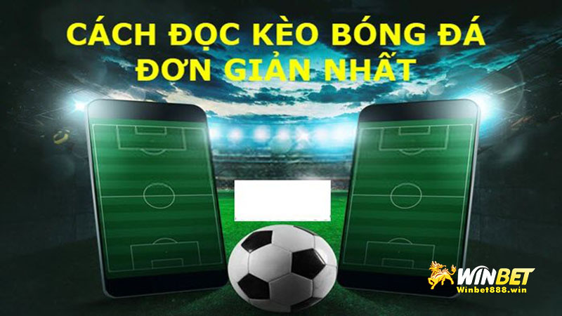 Cách đọc kèo cá cược bóng đá