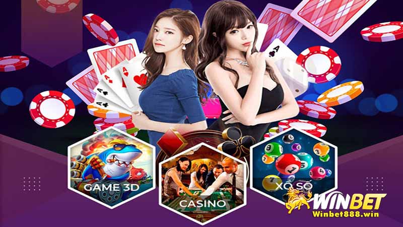 Kubet là gì? Sản phẩm cá cược đa dạng tại Kubet